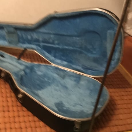 Ovaiton Guiter case