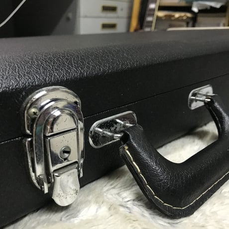 Fender Guiter or Bass case