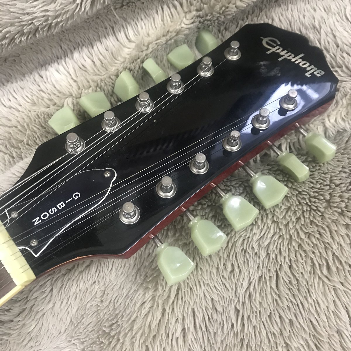 Epiphone Les pau 12strings | RUSTY STRINGS GUIT