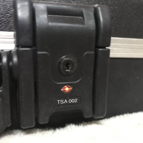 Fender Bass case