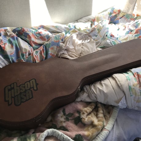 Gibson Guiter case