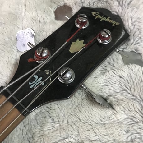 Epiphone SG Bass