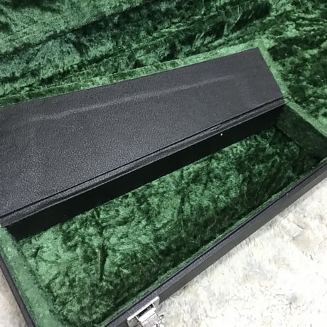 Fender Guiter or Bass case
