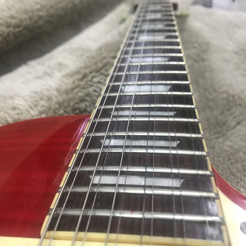 Epiphone Les pau 12strings | RUSTY STRINGS GUIT