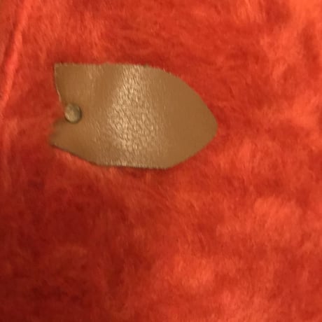 Fender Guiter caes