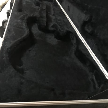 Fender Bass case