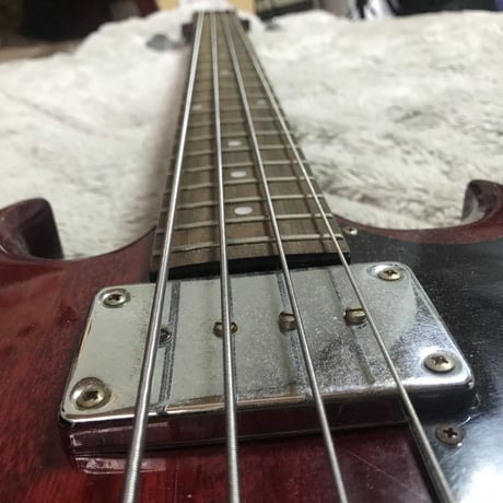 Epiphone SG Bass