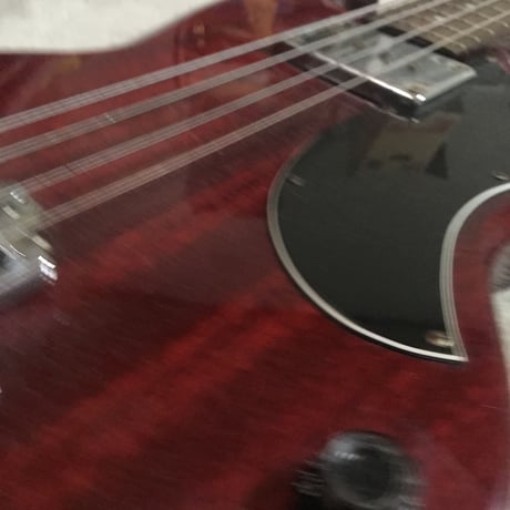 Epiphone SG Bass