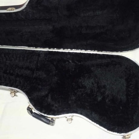 Fender Guiter case