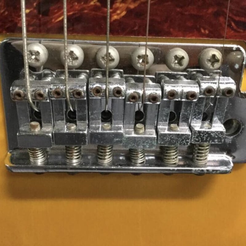 Craftman Jagmaster | RUSTY STRINGS GUITAR and B