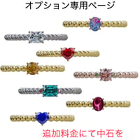 ２石タイプへ変更　オプション専用ページ　【シン初代お得枠】