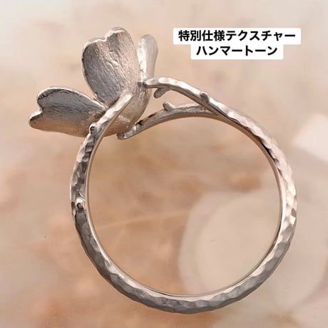 バレリーナ空枠【パール又は金平糖お持込専用】
