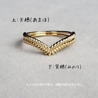 新作Spicaセットリング　【稲穂🌾】