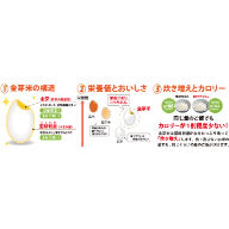 金芽米 守礼 5kg 無洗米 税込み | でいごSHOP
