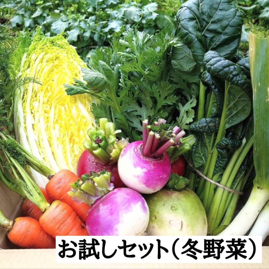 610cd52ef604a91bf83a6286