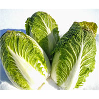 エグベジ白菜　4個入りセット