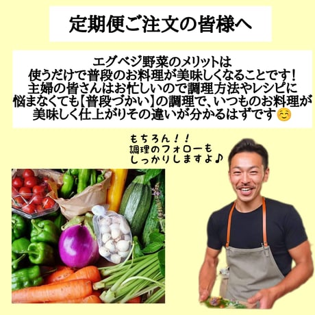 【定期便：月2回お届けコース】無農薬 野菜Sセット