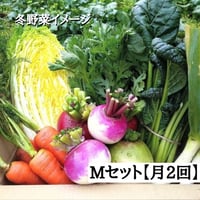 【定期便：月2回お届けコース】無農薬 野菜Mサイズ