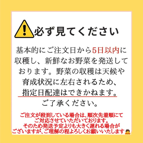 初回限定★おためし2800円セット