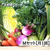 【定期便：月1回お届けコース】無農薬 野菜Mサイズ