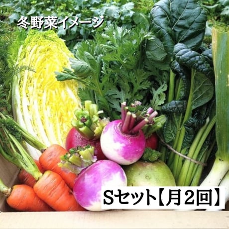 【定期便：月2回お届けコース】無農薬 野菜Sセット