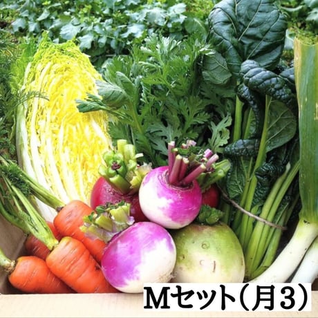 【定期便：月3回お届けコース】無農薬 野菜Mセット(送料込み)