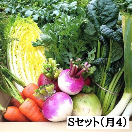 【定期便：月4回お届けコース】無農薬野菜Sセット(送料込み)