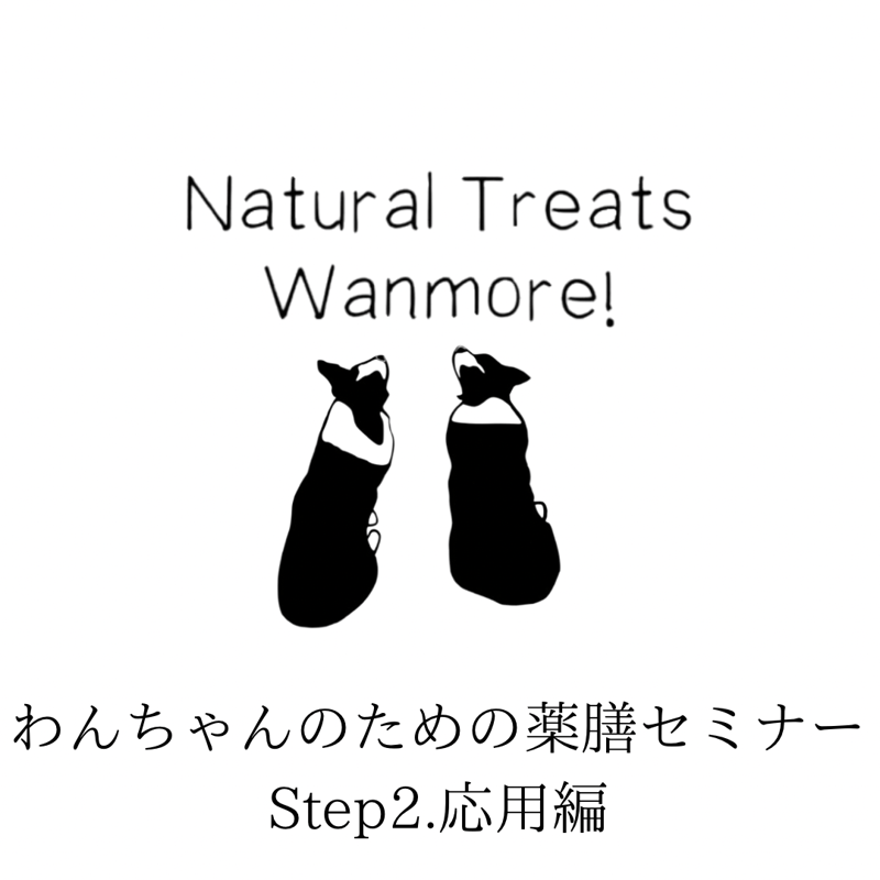 Step.1基礎編受講者様限定】6/12開講!わんちゃんのための薬膳セミナー