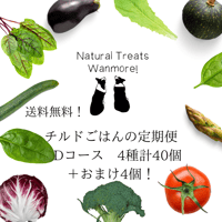 チルドごはんの定期便 Dコース　4種計40個＋おまけ4個＋送料無料！