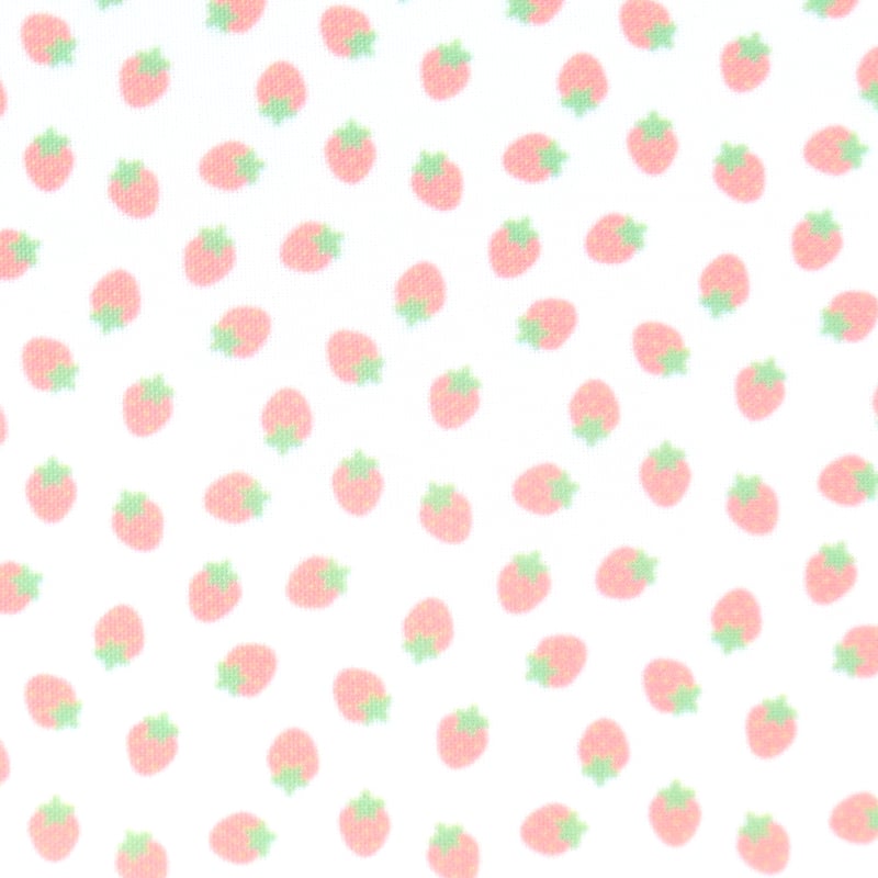 いちご　わんこさん柄 いちご わんこさん柄 いちご様専用 わんこさん柄 ☆オーダーページ