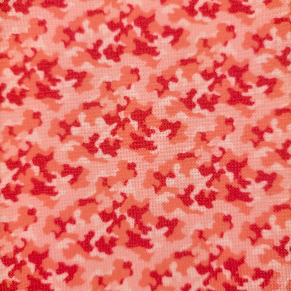 4色の迷彩柄が可愛い(⁎ᴗ͈ˬᴗ͈⁎)ラブリーハート 斑入り60cm 4色の