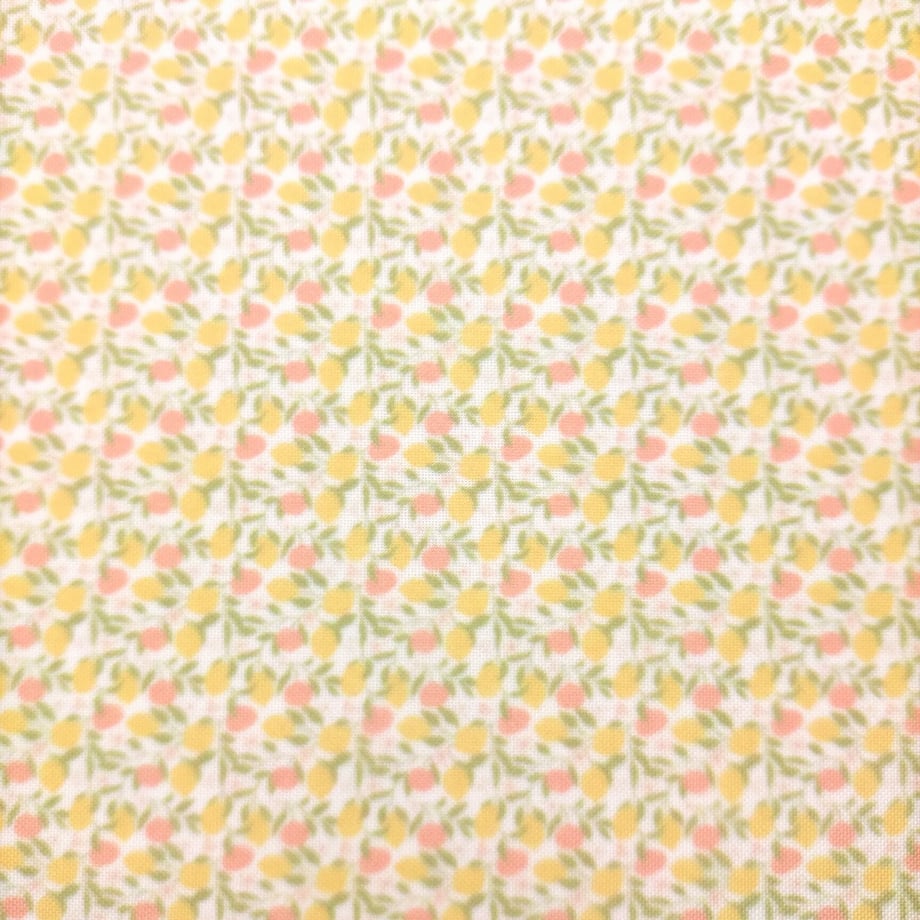 641c32c3ccd49a0054406c24