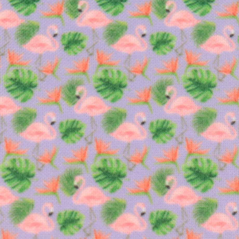 64b138064f4ab60036ec1797