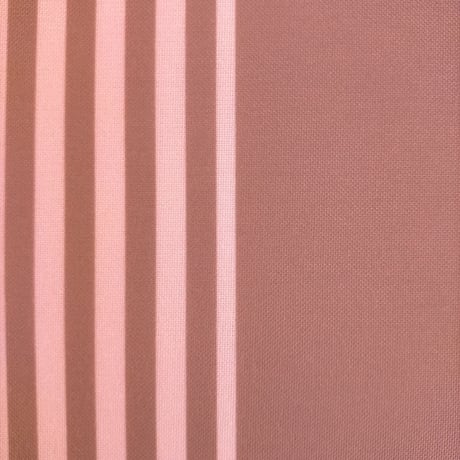 生地/チョコストライプ太W（いちごチョコ）/Eテンジク