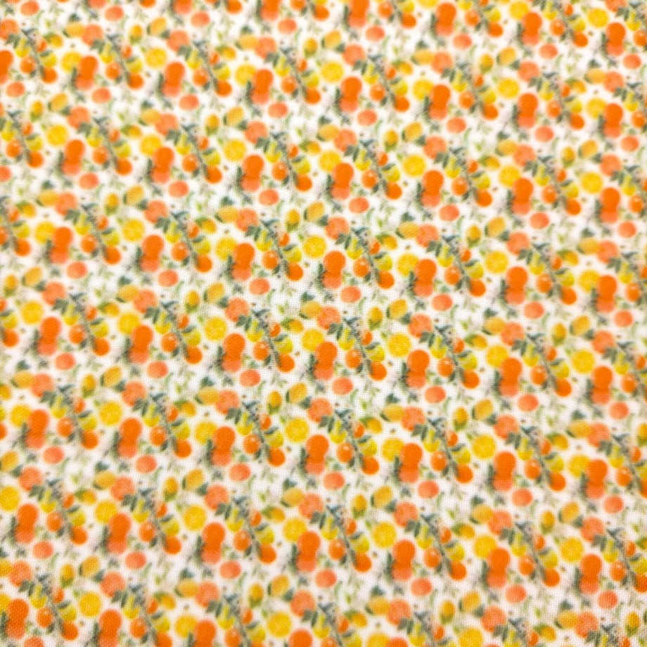 641c33e5ccd49a0054406c99