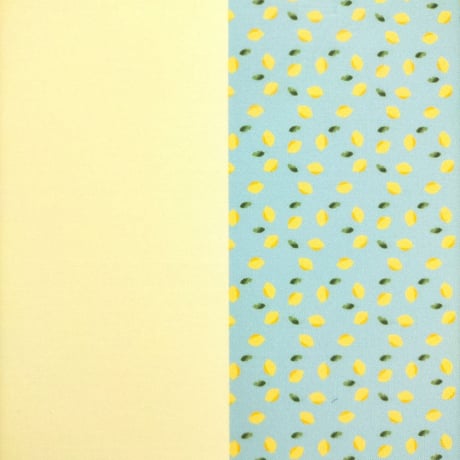 生地/レモンＷ（ブルーグリーン×イエロー）/Pローン