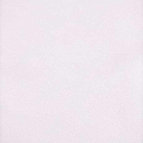 生地/アムンゼン生地単色（白）