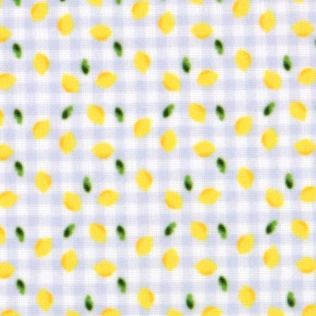 生地/レモン（ブルーチェック）/Eテンジク