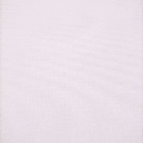 生地/Eテンジク生地単色（白）