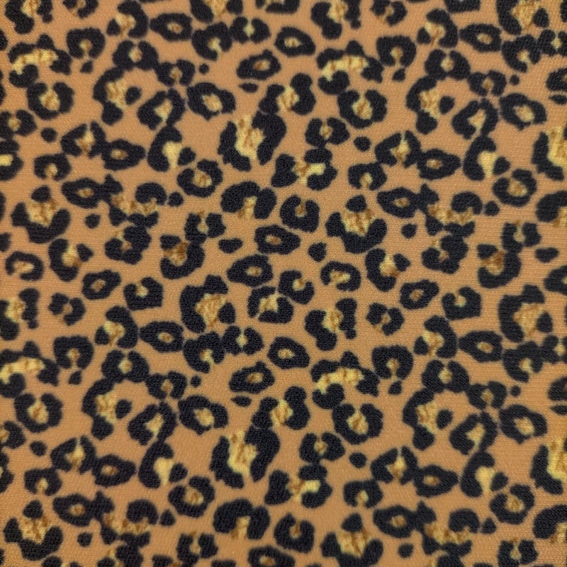 レオパード柄 ❁249〜254 レオパード柄アイテム（写真）｜＠BAILA