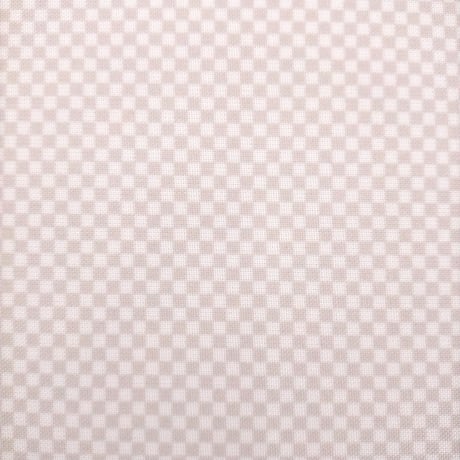 生地/透明？な布/Eテンジク