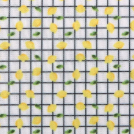 生地/レモン（格子）/Eテンジク