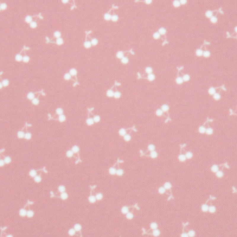 生地/さくらんぼ柄（くすみカラー系）/Pローン | NUIGOTO