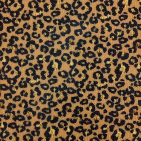 生地/レオパード柄/Pローン