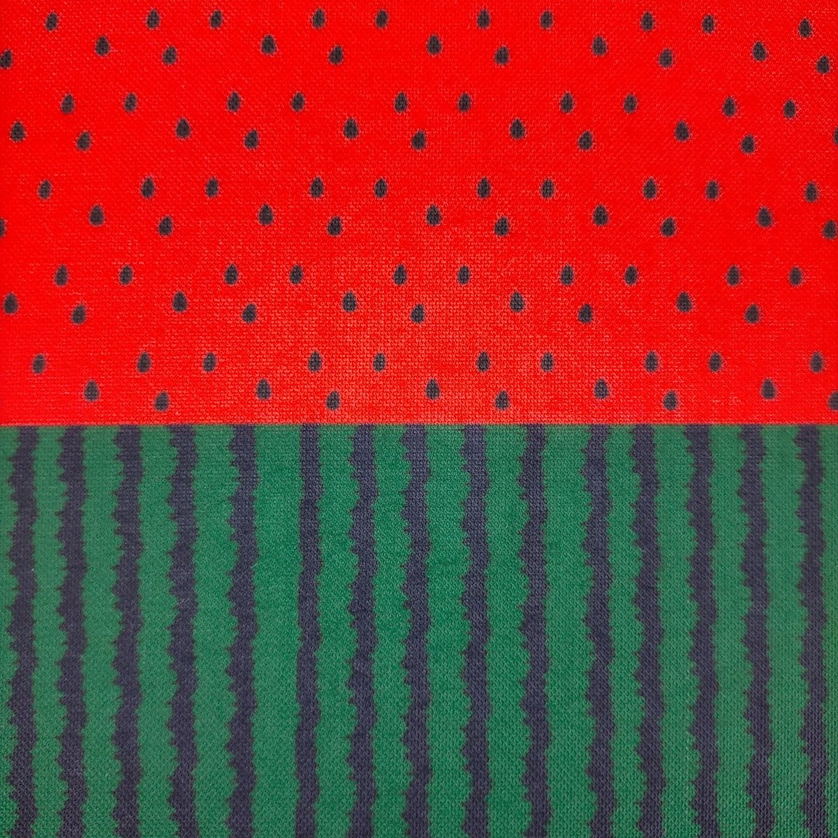 オビツ11サイズ＊スイカ柄【レッド】 fit=scale-down,w=1200
