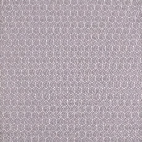 生地/亀甲網代（ねずみ）/アムンゼン