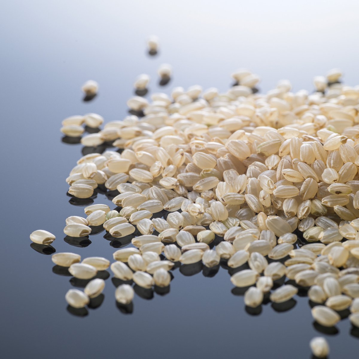 玄米粉 こしひかり】 ミネラルたっぷり 農薬不使用・化学肥料不使用