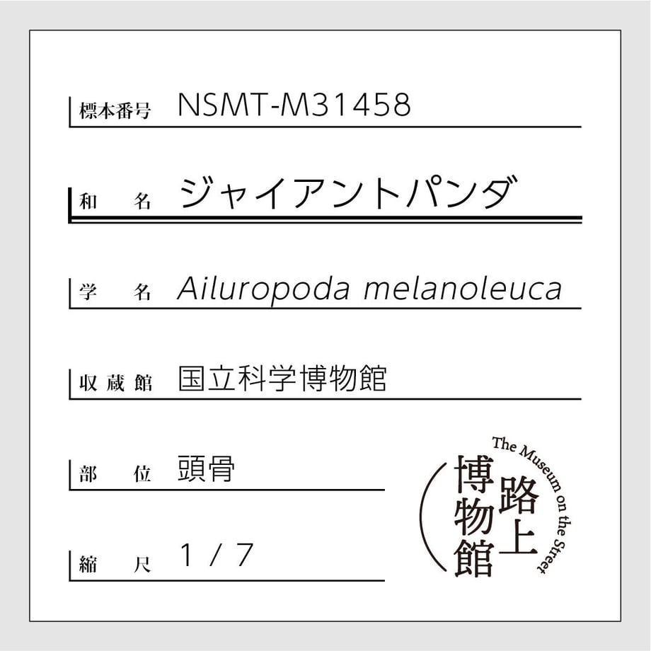 625f8cd93463e757201c69aa