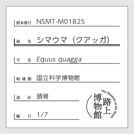 草食獣Ver.1コンプリートセット（5種）