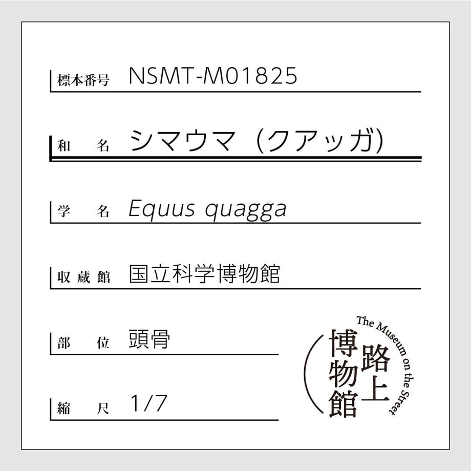 625fcc896b87c36ea05189bc